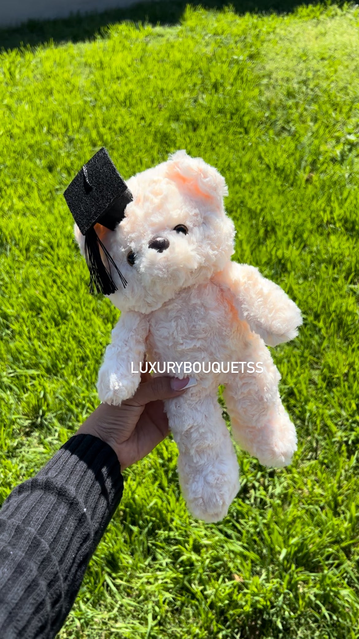 graduation plush