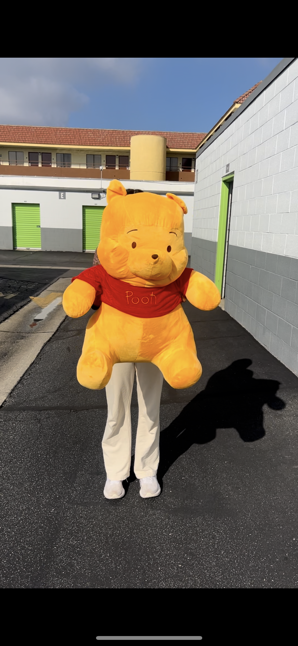 Xl Winnie the Pooh plush
