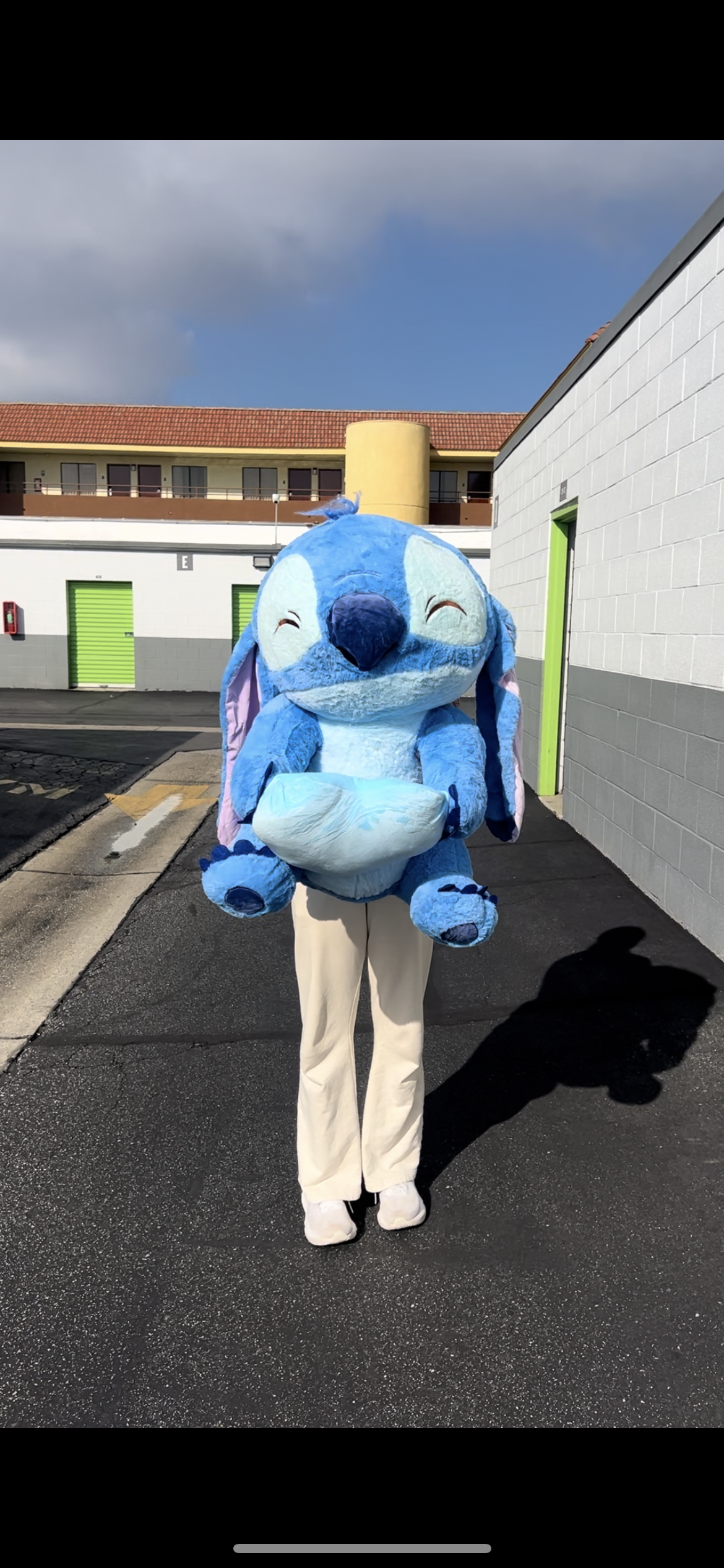 Xl stitch plush