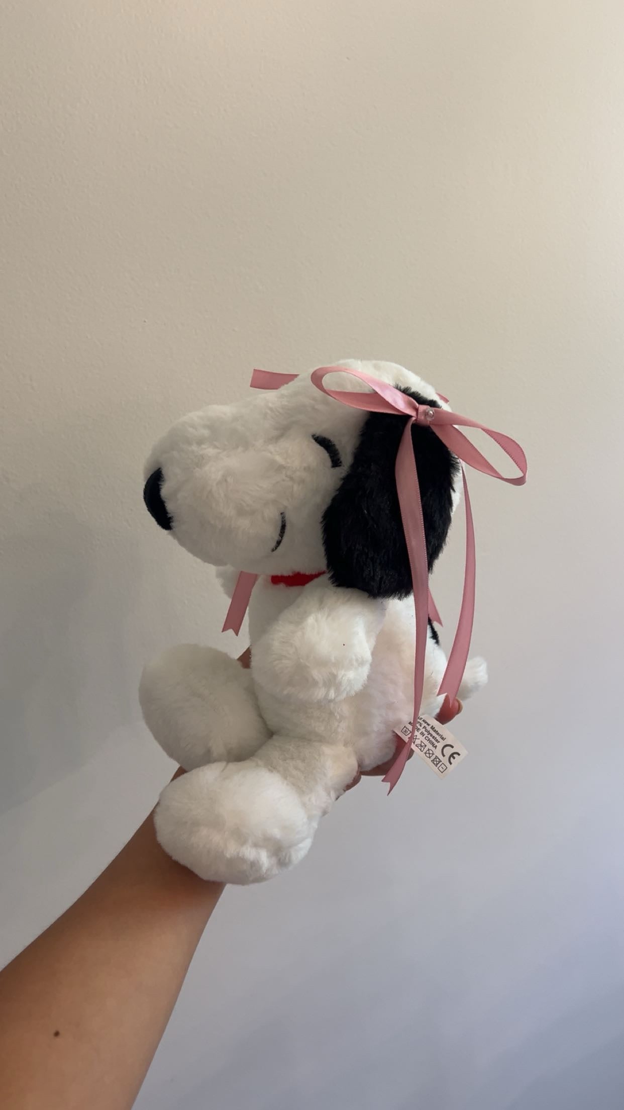 Coquette snoopy
